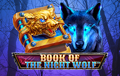 Book Of The Night Wolf